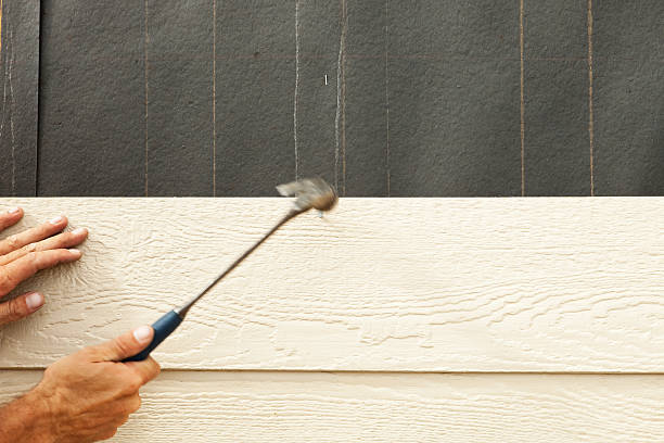 Best Insulated Siding Installation  in Milton, WV